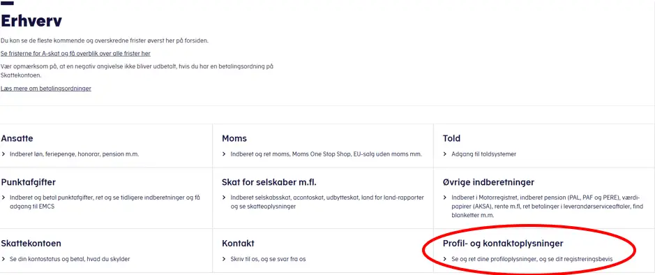 Adgang til skat som revisor
