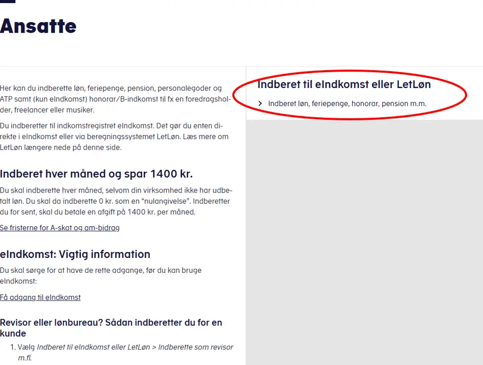 Bogholder adgang til skat