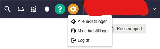 Revisor adgang economic