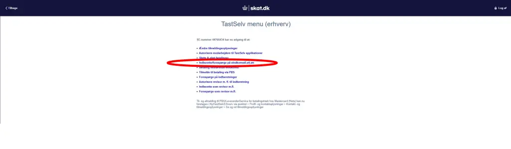 revisorer som får adgang til skat